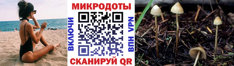 Галлюциногенные грибы Cubensis Купить Малоярославец